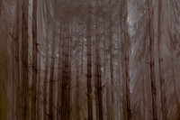 2012-10-21-132-4