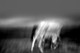 chrisfriel-2