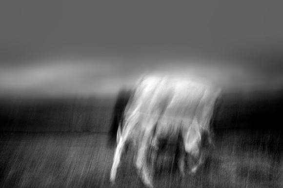 chrisfriel-2
