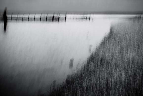 chrisfriel-5