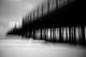 chrisfriel-12