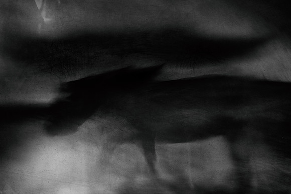 untitled shoot--19