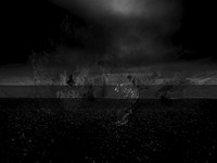 02-55