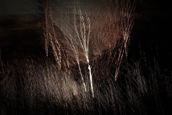 fulstop-13