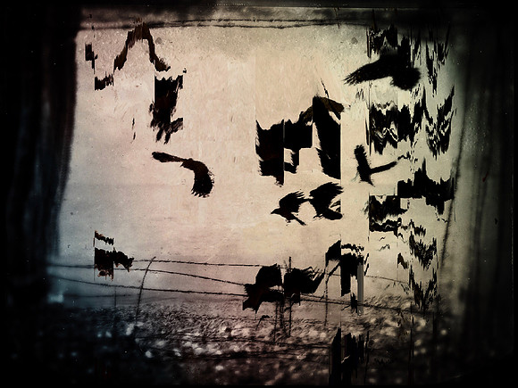 murder-35327_46167360471_o