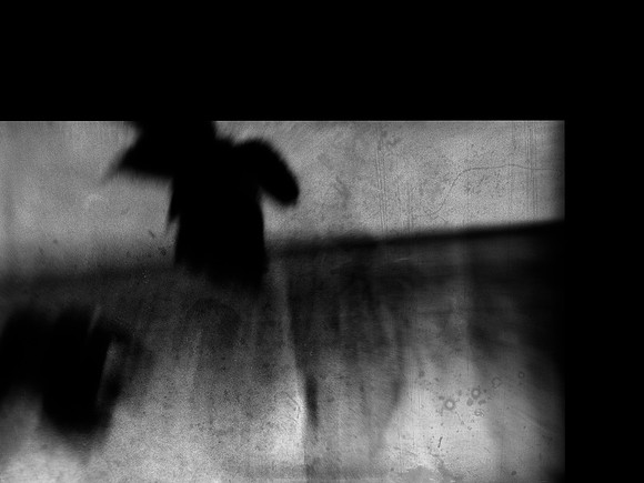 190318_27030036018_o