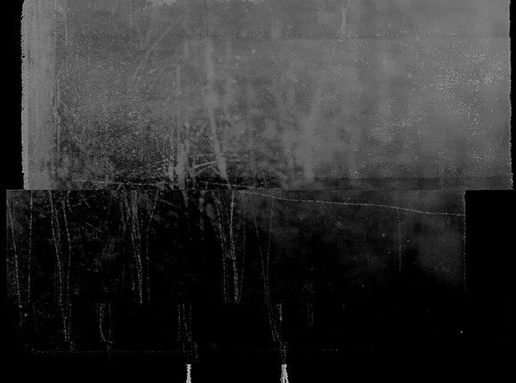 four-trees-1541_42165986611_o