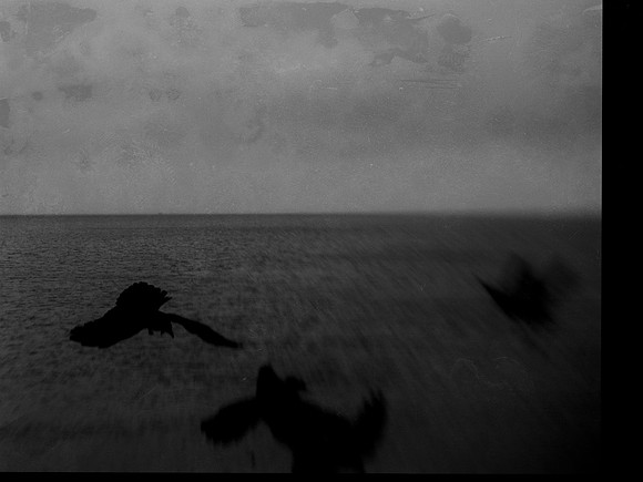120318_40062964574_o