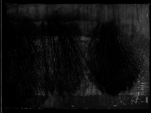 four-trees-2340_28183702098_o