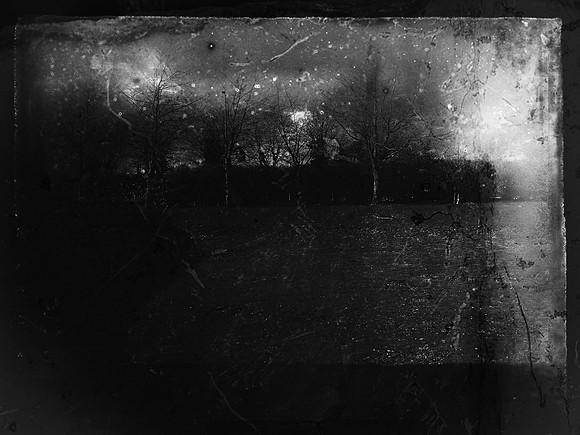 four-trees-58_27230035117_o