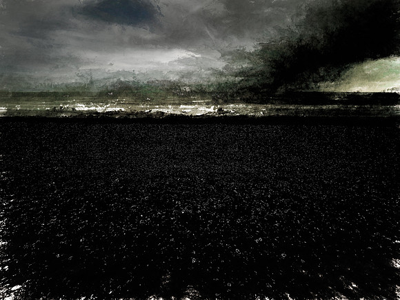 pett-866_39038492574_o