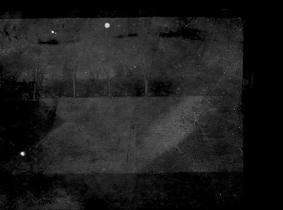 four-trees-1589_42078891781_o