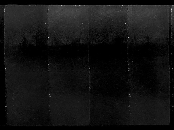 four-trees-2864_42190704911_o
