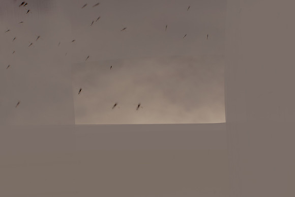 100315/103