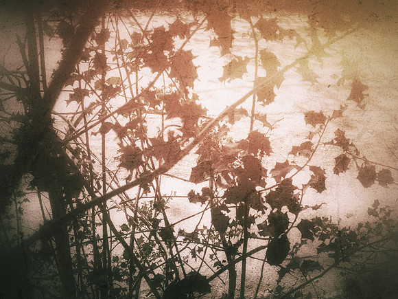03-11