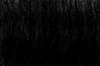 131214/110
