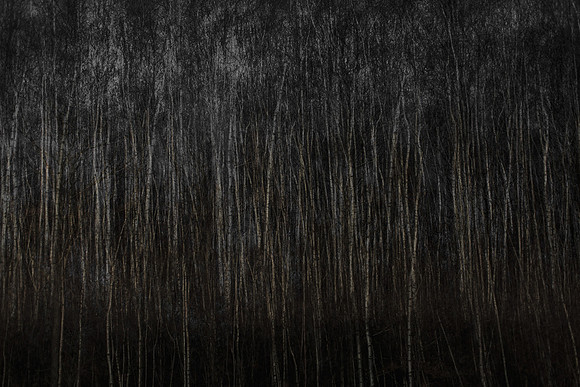 101214/480