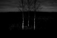 151214/162
