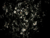 160616-8-1