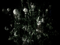 160616-5-1