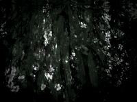 190616-12-1