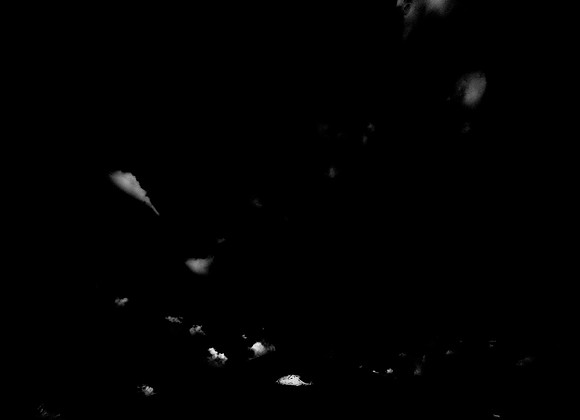 FLYING-46