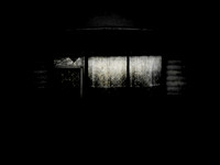 FLYING-19