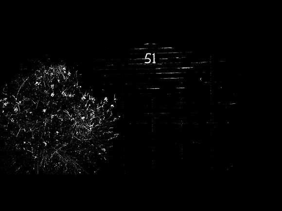 FLYING-53