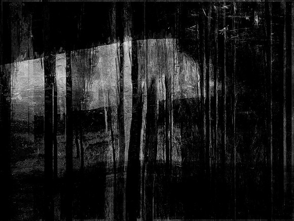 RED-BW-23