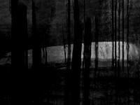 RED-BW-5