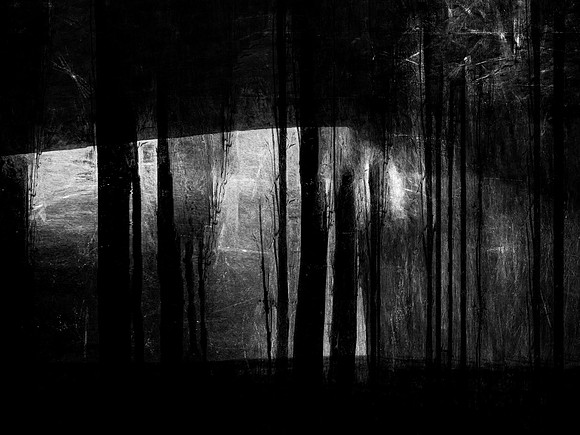 RED-BW-15