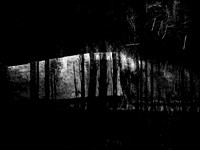 RED-BW-17