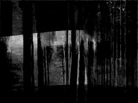 RED-BW-12