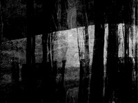 RED-BW-16