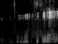 RED-BW-19