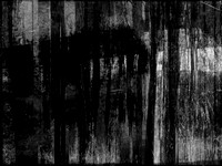 RED-BW-18