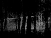 RED-BW-8
