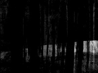 RED-BW-7