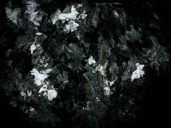 190616-14-5