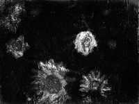 5-31