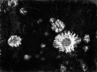 5-17
