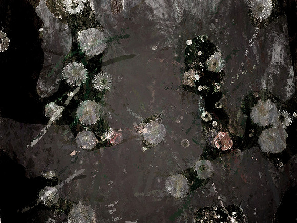 60-74