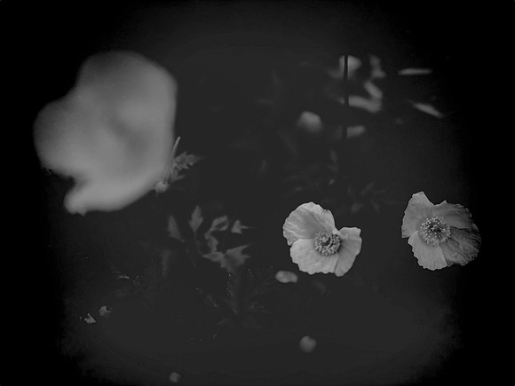 2-83