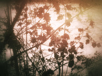 03-11