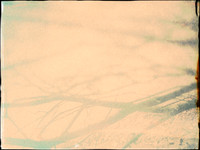03-19