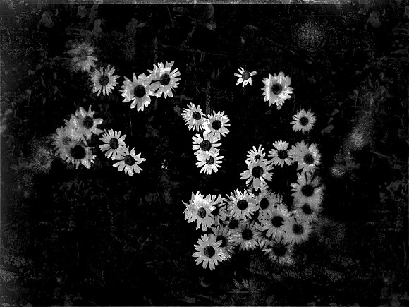 5-113