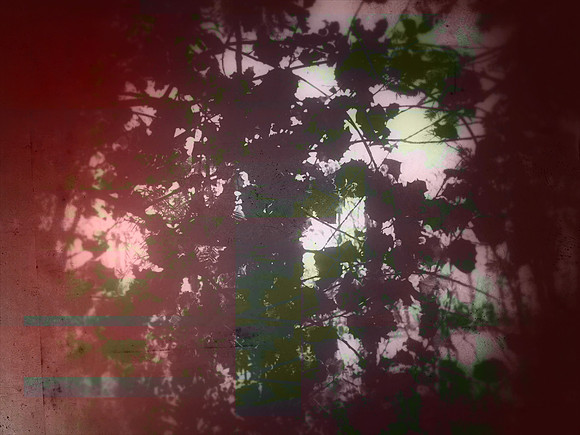 04-50