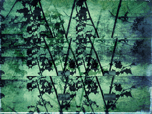 07-236