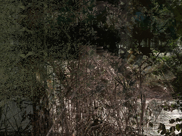 07-297