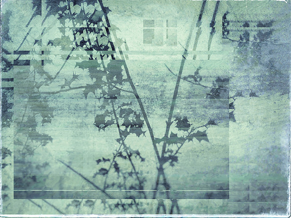 07-231